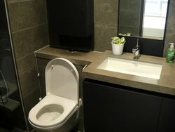 Skysuites@Anson (D2), Apartment #549769821